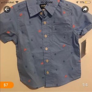 Oshkosh button down